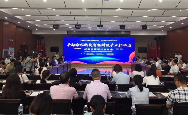 开云（中国）科技喜获千万级担保授信